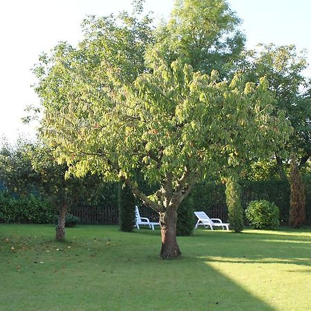 דירות גלווה Landsitz Ruegen מראה חיצוני תמונה